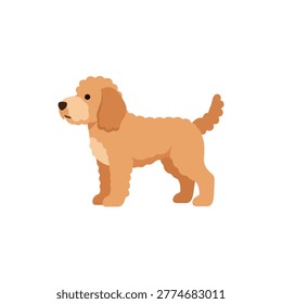 Goldendoodle dog vector illustration isolated standing profile view of a cute curly haired pet

This is a clean, flat-style vector illustration of a Goldendoodle or Cockapoo dog in a standing profile view. Its commercial utility is high for pet service branding, veterinary clinic websites, educational infographics, and digital application interfaces requiring friendly animal icons.