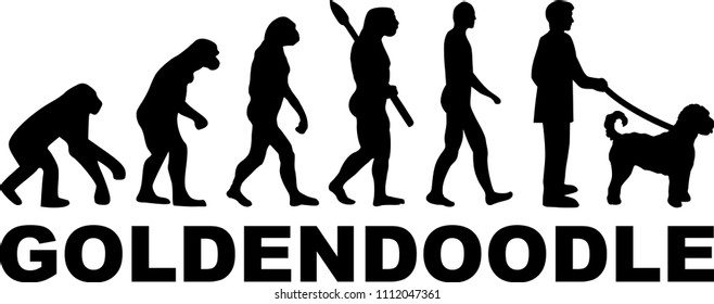 Goldendoodle evolution with word in black