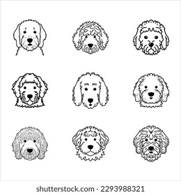 Goldendoodle portrait vector icon set