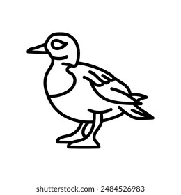 Barrow’s Goldeneye Outline Icon, Vector illustration