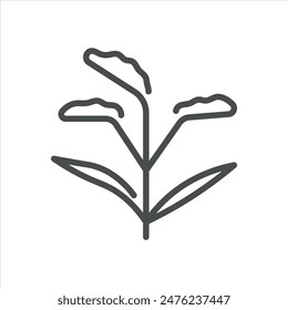 Goldenrod Flower Icon. Simple Line Illustration of a Goldenrod Plant, Symbolizing Herbal Production. Vector Symbol on White Background.