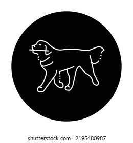 Golder retriever carries a stick color line icon. Pictogram for web page, mobile app, promo.