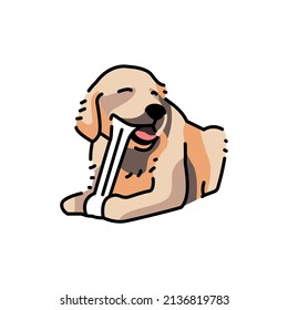 Golder retriever chewing bone color line icon. Pictogram for web page