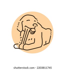 Golder retriever chewing bone color line icon. Pictogram for web page