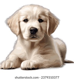 golder retriever dog. Isolated cutout on a transparent background