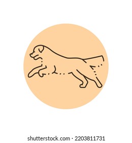 Golder retriever jumping color line icon. Pictogram for web page