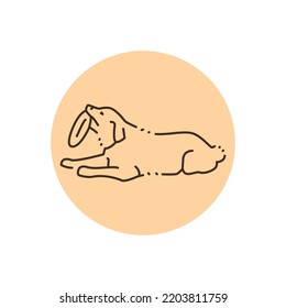 Golder retriever lying and holding frisbee color line icon. Pictogram for web page