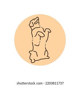 Golder retriever makes command color line icon. Pictogram for web page