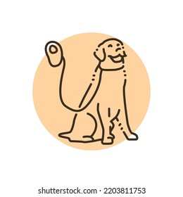 Golder retriever on a leash color line icon. Pictogram for web page