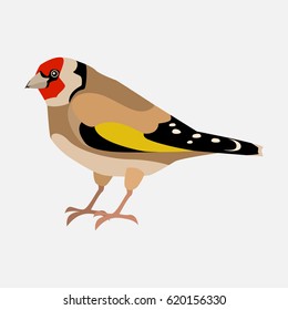 goldfinch