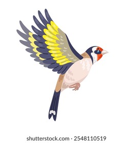 Pájaro de jilguero volando. En estilo de dibujos animados. Aislado sobre fondo blanco. Ilustración plana de Vector.