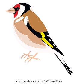 1,127 Goldfinch vector Images, Stock Photos & Vectors | Shutterstock