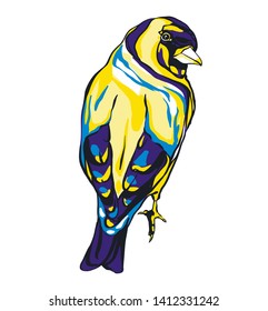 goldfinch bird vector art, many colors