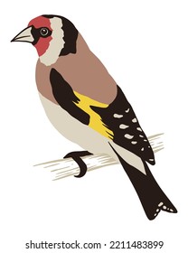 Goldfinch Bird - Vector Illustration