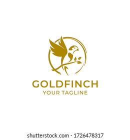 plantilla de diseño de vector de logotipo de goldfinch 