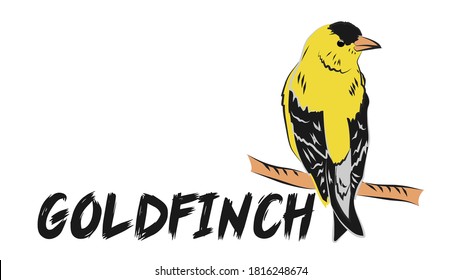 goldfinch sitting on a branch