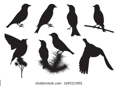 Goldfinches (Carduelis carduelis) silhouettes vector set