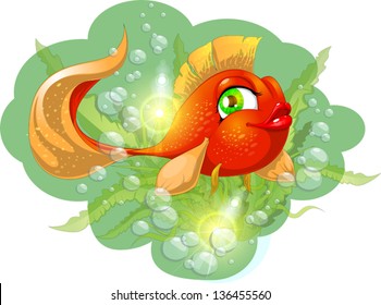 goldfish