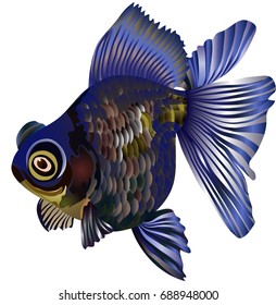 Goldfish