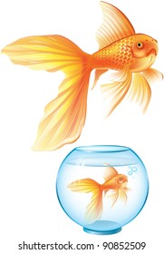 Goldfish