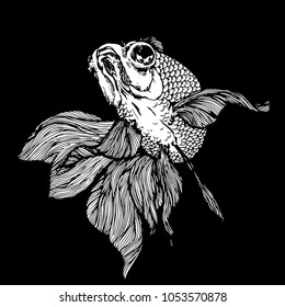 goldfish action hand draw on black background