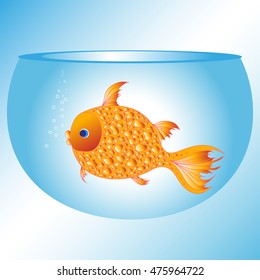 Goldfish in the aquarium