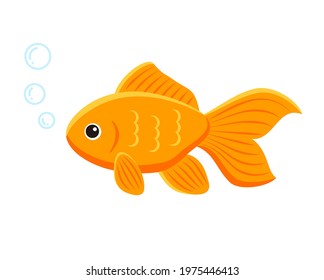 goldfish aquarium fish with bubble