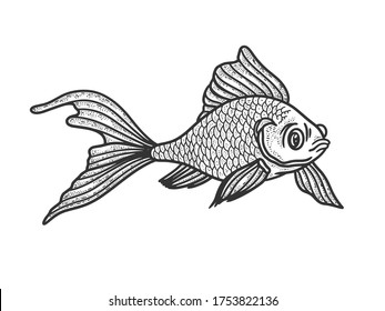 Goldfish aquarium fish sketch engraving vector illustration. T-shirt apparel print design. Scratch board imitation. Black and white hand drawn image.