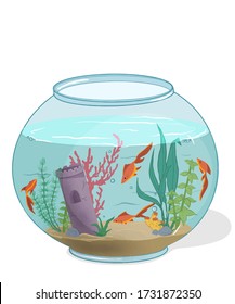 goldfish aquarium. Flat illustration of aquarium, fish, seaweed, corals and tower.  isolated illustration on white