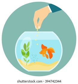 Goldfish in aquarium isolated. Feeding goldfish. Hand holding fish food. Flat vector illustration