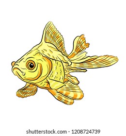 goldfish aquarium with striped fins. on white isolated background vector illustration