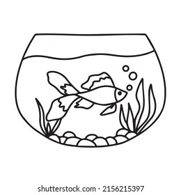 Goldfish in an aquarium. Vector illustration . Doodle style. Two goldfish. Aquarium with algae.