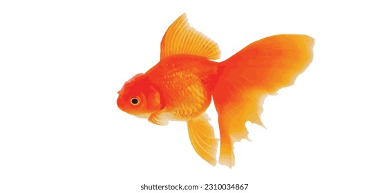 Ilustración vectorial de fondo de peces dorados aislada en fondo blanco.