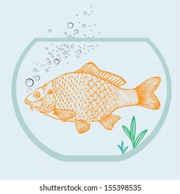 Goldfish in a bowl.