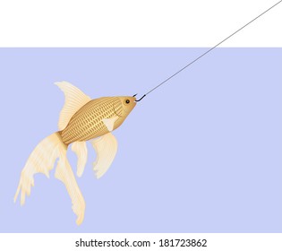 goldfish caught on hook