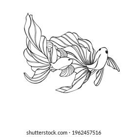 Goldfish coloring book pages for kids, Outline Vector illustration, Fish making air kiss, Vector illustration amazing underwater world, Black and white cute fishes swimming