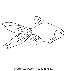 Goldfish coloring book pages for kids, Outline Vector illustration, Fish making air kiss, Vector illustration amazing underwater world, Black and white cute fishes swimming