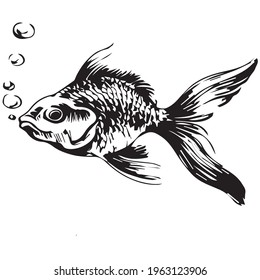 Goldfish coloring book pages for kids, Outline Vector illustration, Fish making air kiss, Vector illustration amazing underwater world, Black and white cute fishes swimming