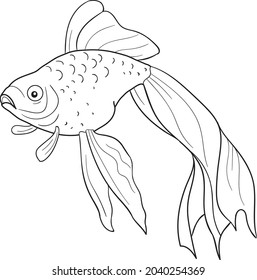 goldfish coloring page design clear background,  print design