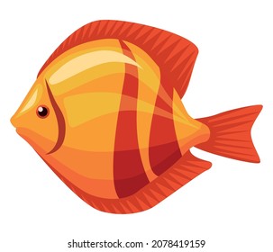 Goldfish Exotic Animal Sealife Icon