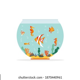 Goldfish in fishbowl. Aquarium with swimming gold exotic fish. Underwater aquarium habitat with sea plants. Flat vector drawn illustration, isolated objects.