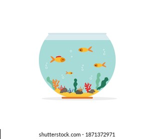 Goldfish in fishbowl. Aquarium with swimming gold exotic fish. Underwater aquarium habitat with sea plants. Flat vector drawn illustration, isolated objects.