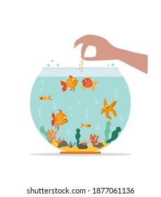 Goldfish in fishbowl. Aquarium with swimming gold exotic fish. Underwater aquarium habitat with sea plants. Flat vector drawn illustration, isolated objects.