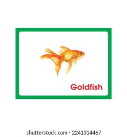Goldfish, FLash Card Printable und verwendet mit vielen verschiedenen Themen