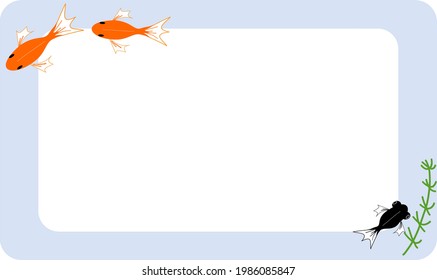 Goldfisch-Rahmenquadrat von oben
