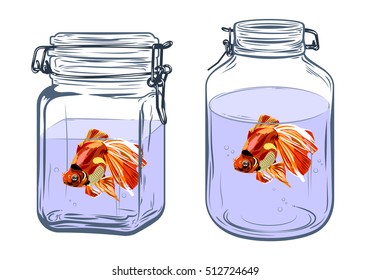 goldfish in a glass jar, freehand drawing