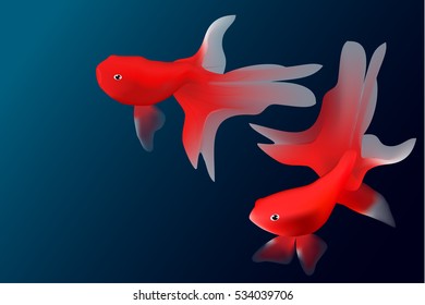 goldfish graphic vector