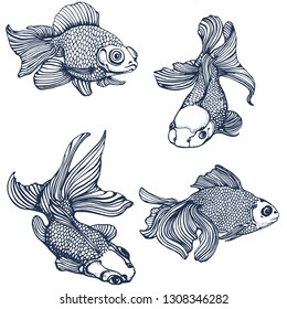 goldfish hand drawing set vector illustration isolated on white background