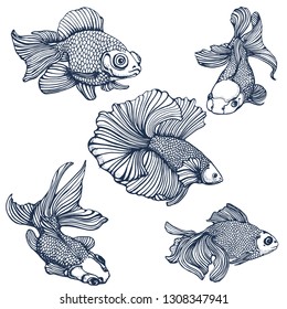 goldfish hand drawing set vector illustration isolated on white background
