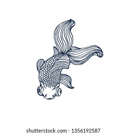 goldfish , hand drawing, vector illustration isolated on white background